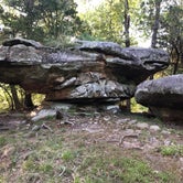 Review photo of Pharoah - Garden of the Gods Rec Area Campground by Todd H., September 9, 2019