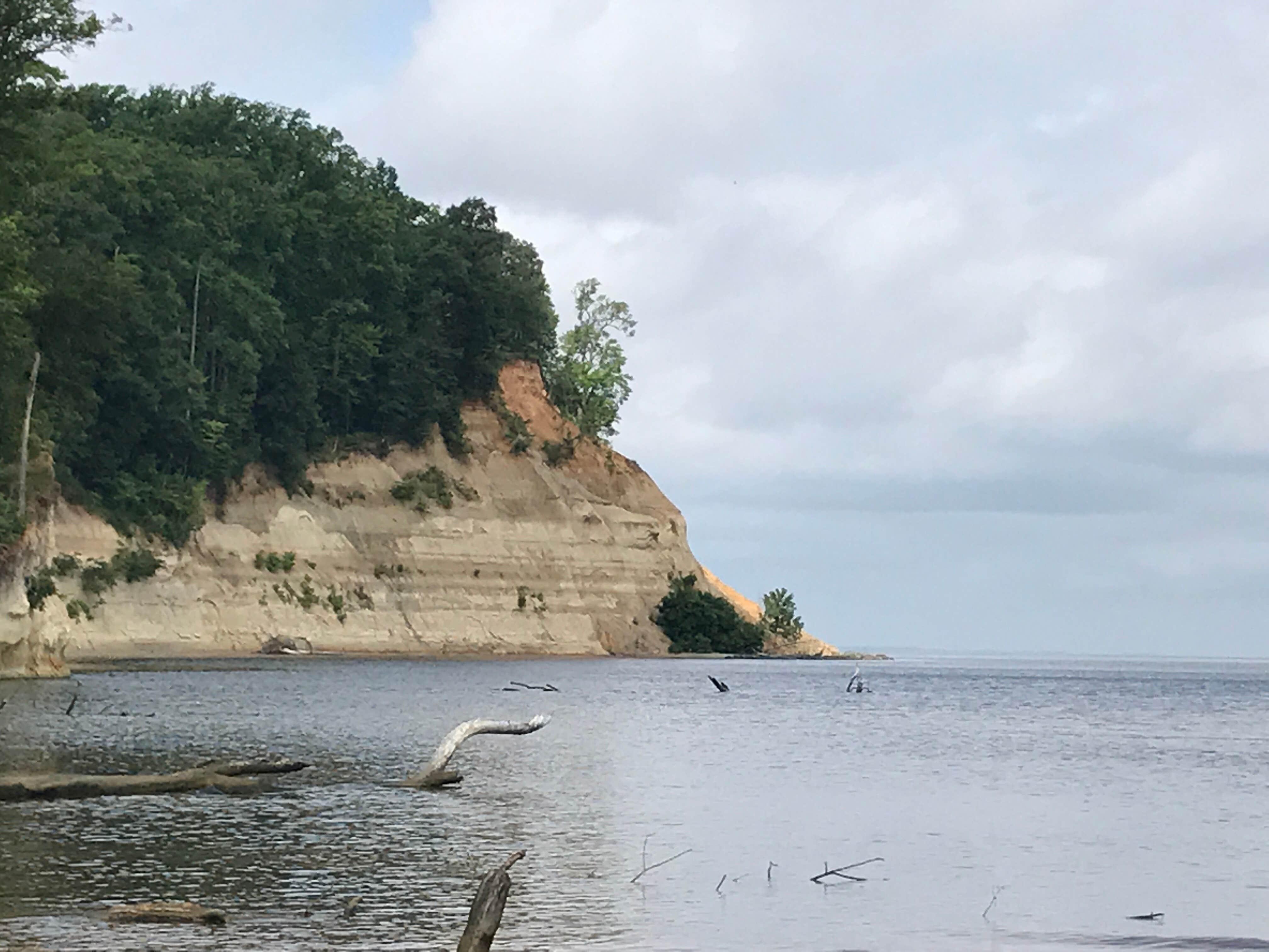 Camper submitted image from Westmoreland State Park Campground - 3