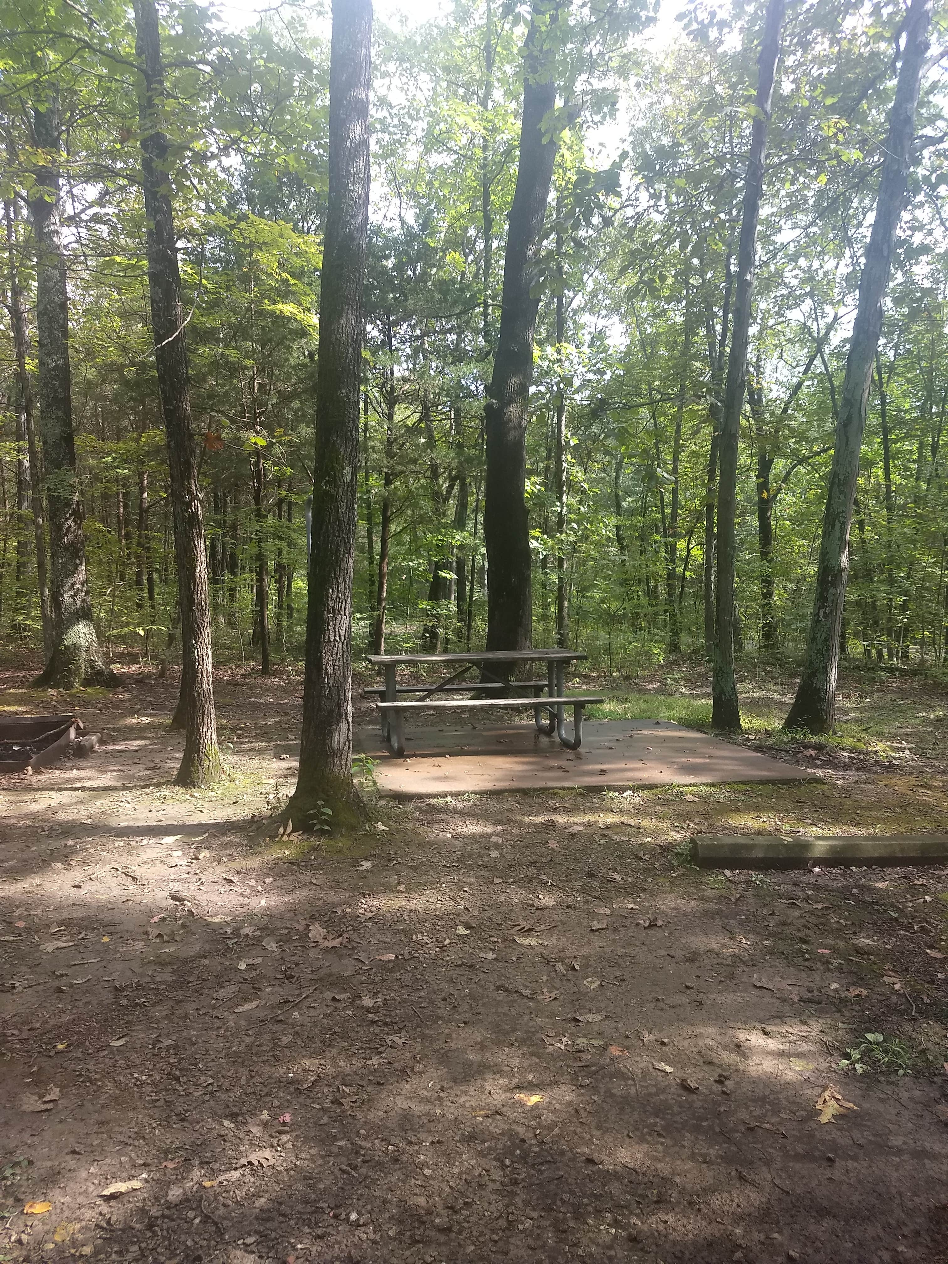 Camper submitted image from Robertsville State Park Campground - 4