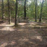 Review photo of Robertsville State Park Campground by Pamme S., September 9, 2019
