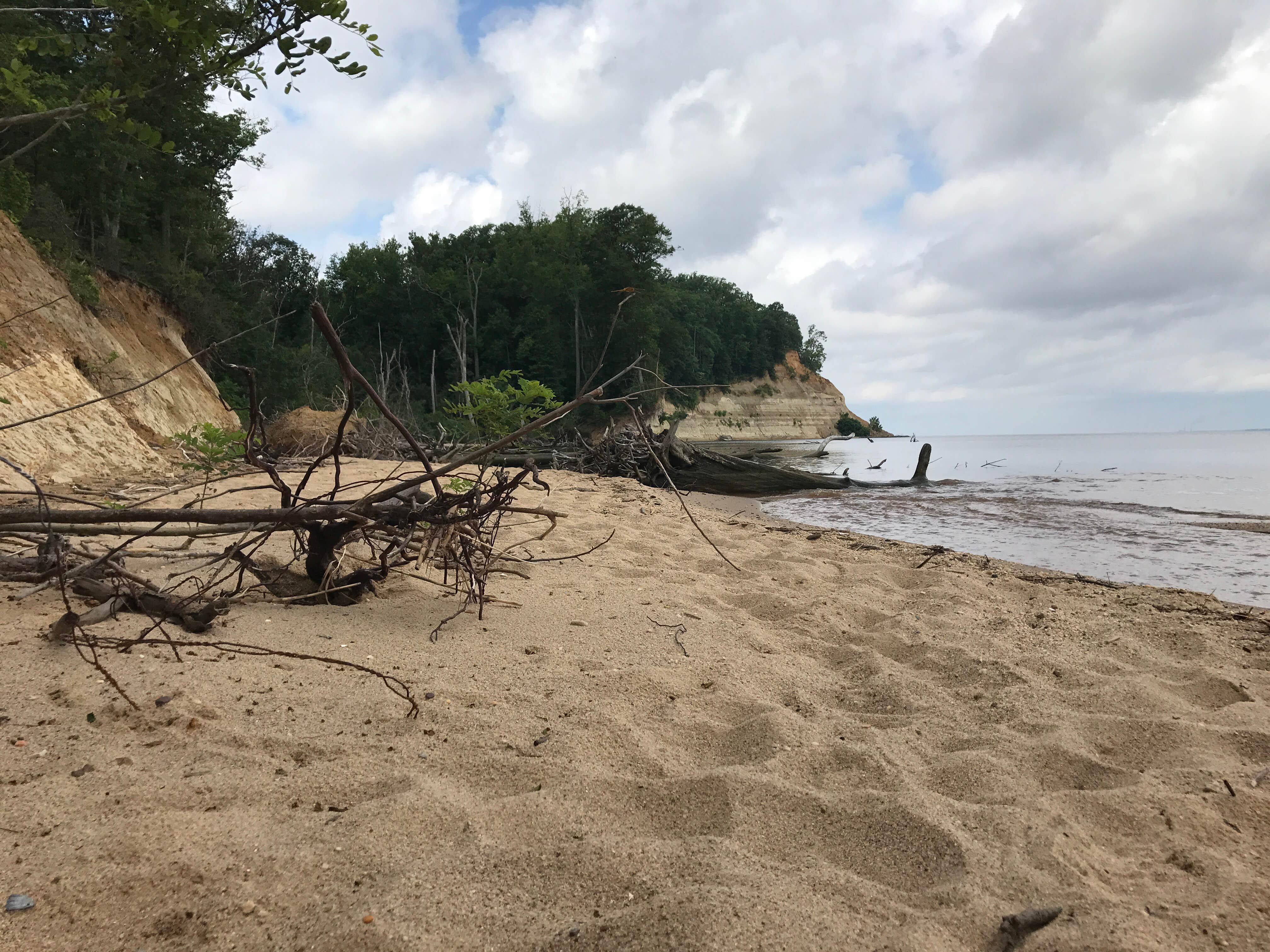 Camper submitted image from Westmoreland State Park Campground - 2