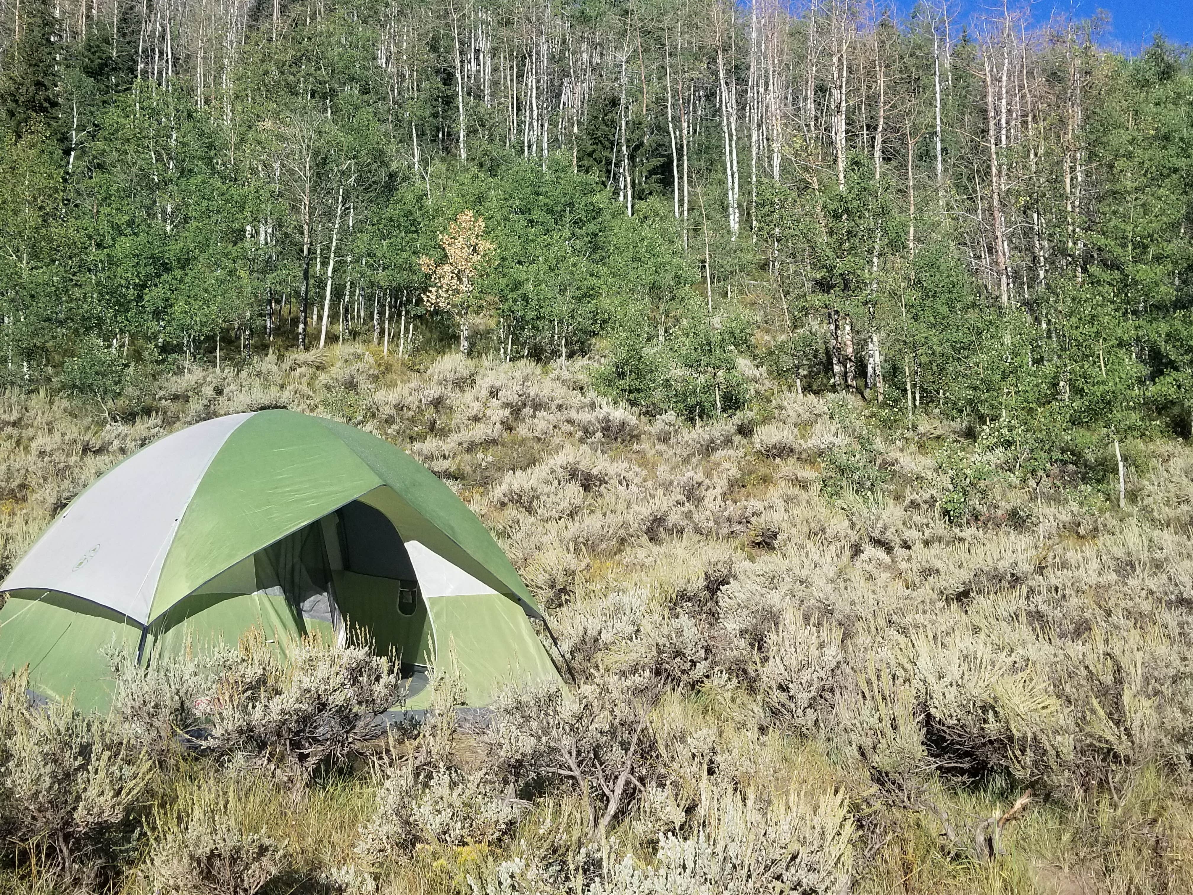 Brad B.'s photo at Aspen Grove (uinta-wasatch-cache National Forest, Ut) near Fruitland, UT
