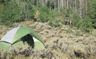 Brad B.'s photo at Aspen Grove (uinta-wasatch-cache National Forest, Ut) near Fruitland, UT