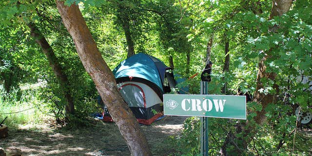 Camper submitted image from Camp Maple Dell