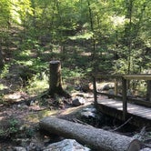 Review photo of Lake Catherine State Park Campground by Shana D., September 9, 2019