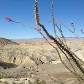 Review photo of Fish Creek Wash Primitive Campsite by Kate W., September 9, 2019