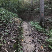 Review photo of Natchez Trace State Park Campground by Shana D., September 9, 2019
