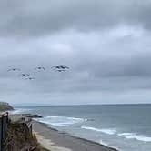 Review photo of South Carlsbad State Beach Campground by Kate W., September 9, 2019