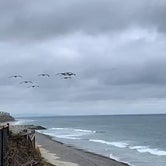 Review photo of South Carlsbad State Beach by Kate W., September 9, 2019