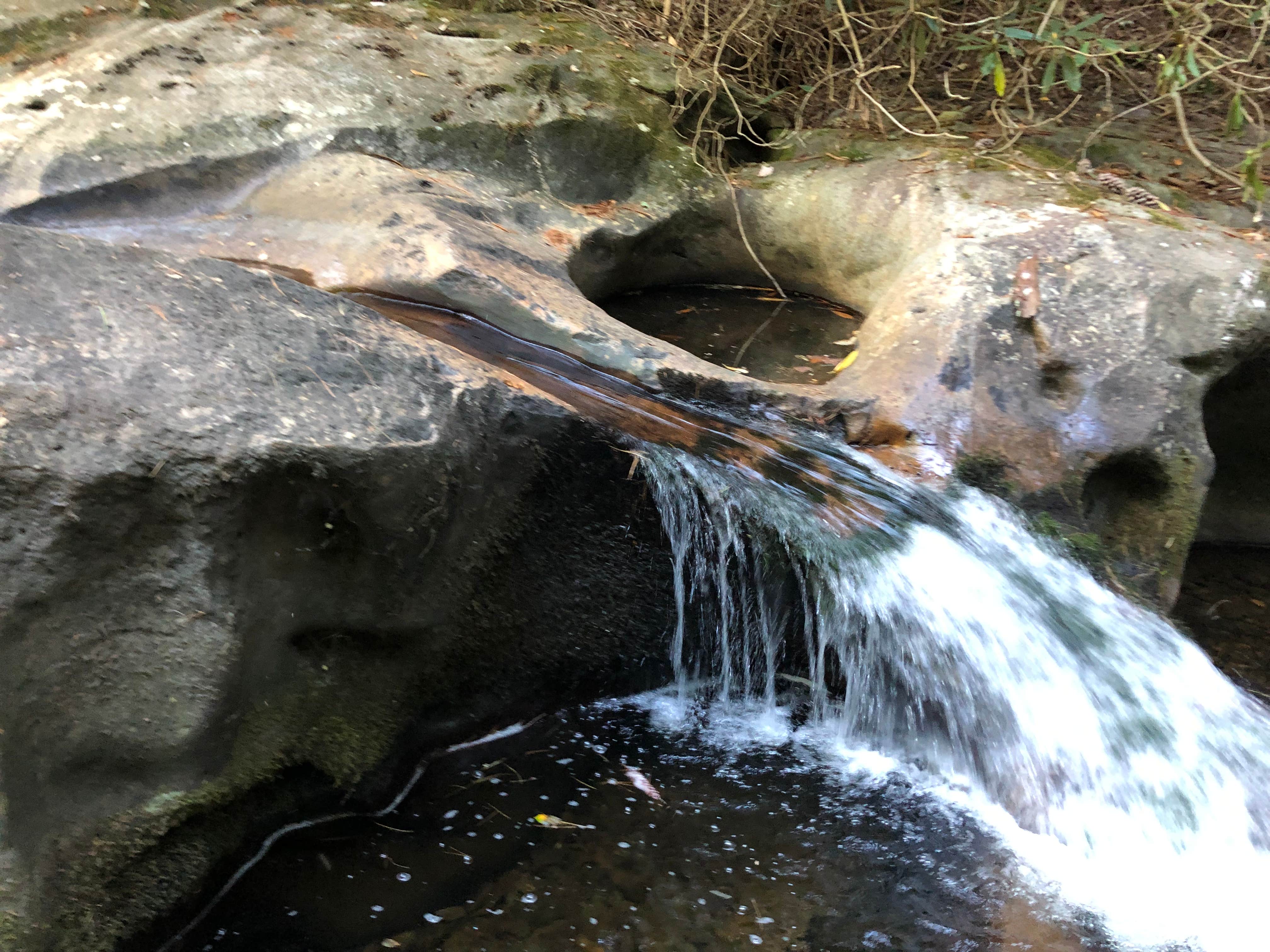 Camper-submitted photo at Hickory Gap near Chatsworth, GA