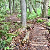 Review photo of Buffalo Bay Campground by Janet R., September 9, 2019