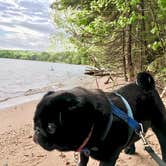 Review photo of Buffalo Bay Campground by Janet R., September 9, 2019