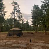 Review photo of Fr 195 Campground by Emily Z., September 10, 2019