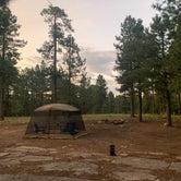 Review photo of Fr 195 Campground by Emily Z., September 10, 2019