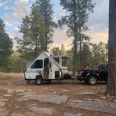 Review photo of Fr 195 Campground by Emily Z., September 10, 2019