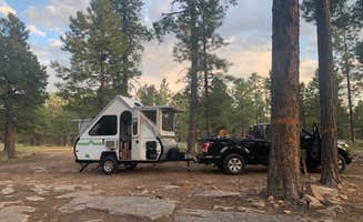 Emily Z.'s photo of rv camping at Fr 195 Campground near Kohls Ranch, AZ