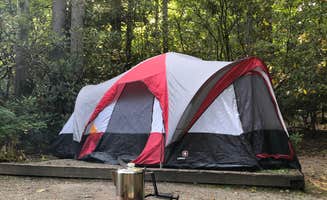 Amanda B.'s photo at Stuart Recreation Area near Glady, WV