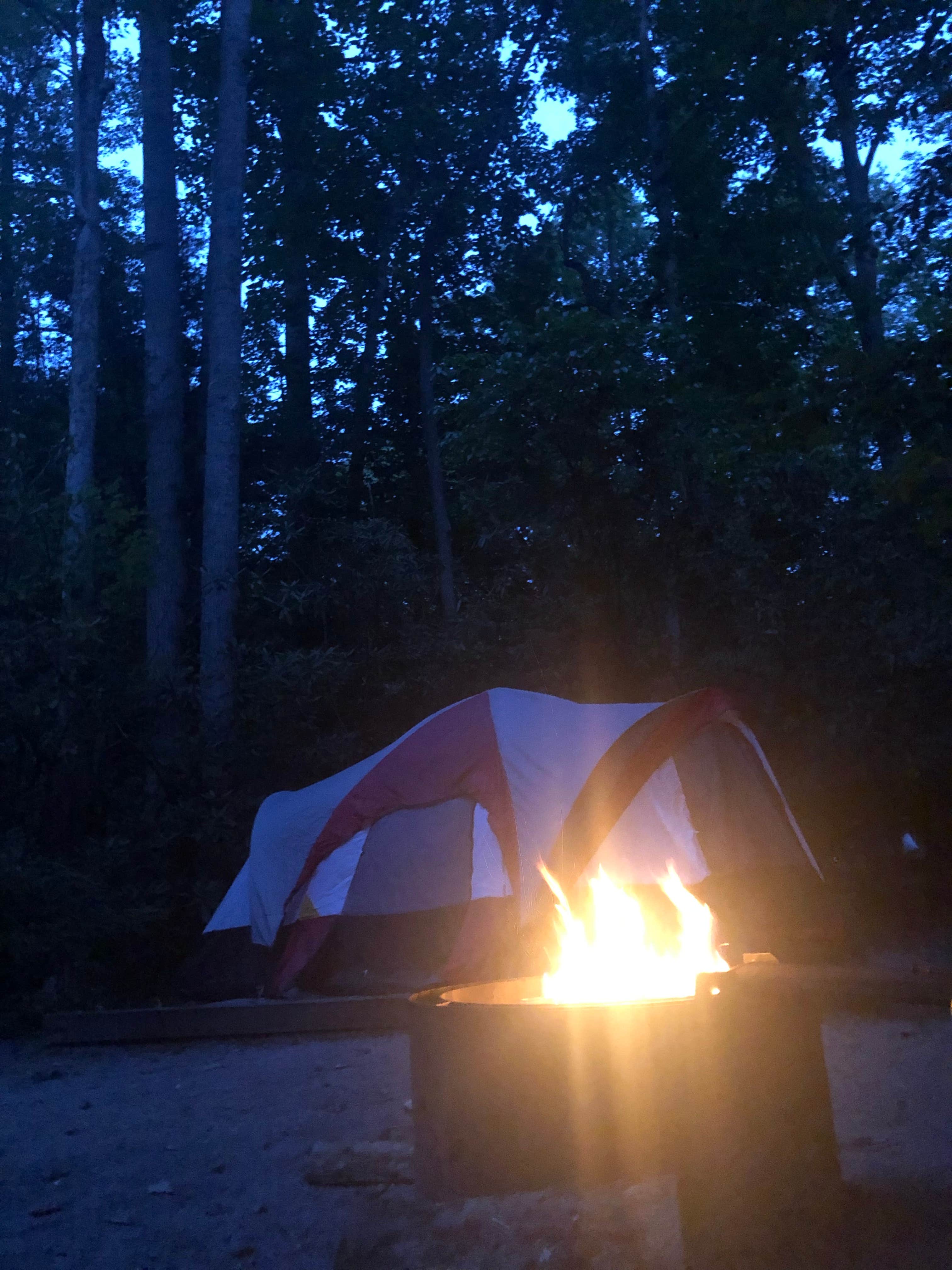 Amanda B.'s photo at Stuart Recreation Area near Glady, WV