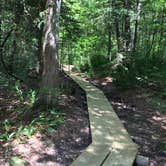 Review photo of Stockton Island - Campsite — Apostle Islands National Lakeshore by Janet R., September 10, 2019