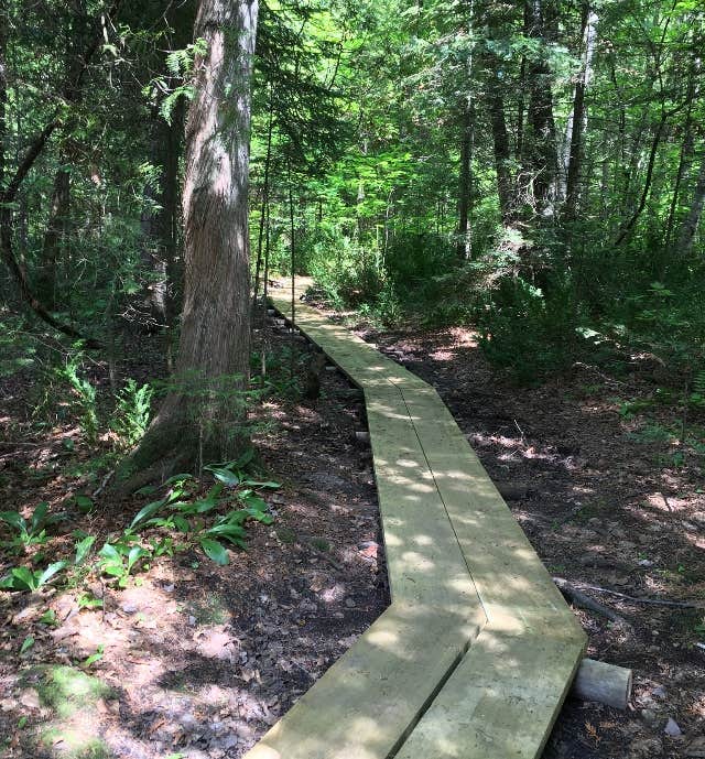 Camper submitted image from Apostle Islands National Lakeshore Stockton Island- Presque Isle Campground - 1