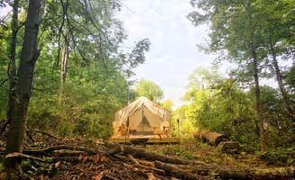 The Dyrt's photo at Living Water Campsites: Ski N' Zip 1 near Washington, MA