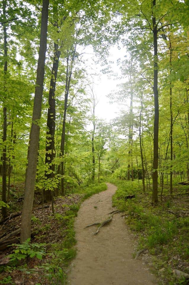 Camper submitted image from Cuyahoga Valley National Park - CAMPING NO LONGER OFFERED - 2
