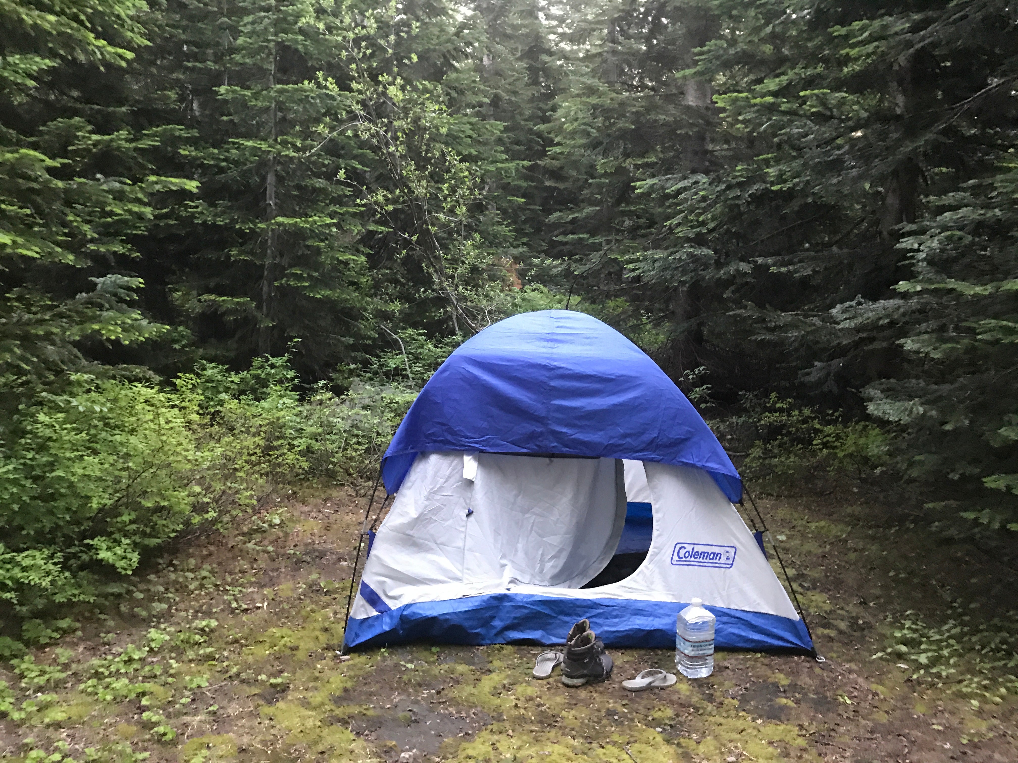 Camper submitted image from Climber's Bivouac Campground  - 2