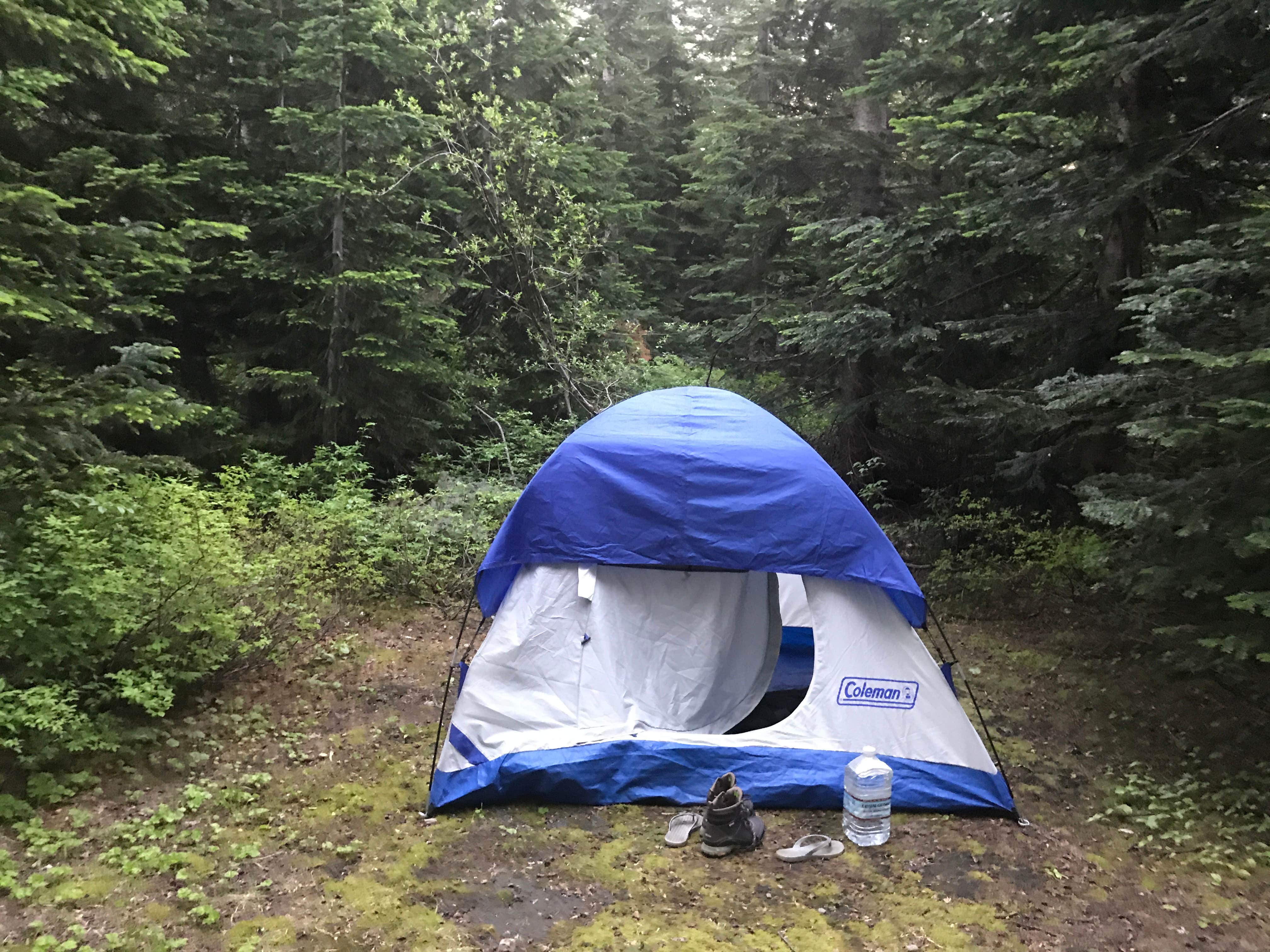 Camper submitted image from Climber's Bivouac Campground - 2
