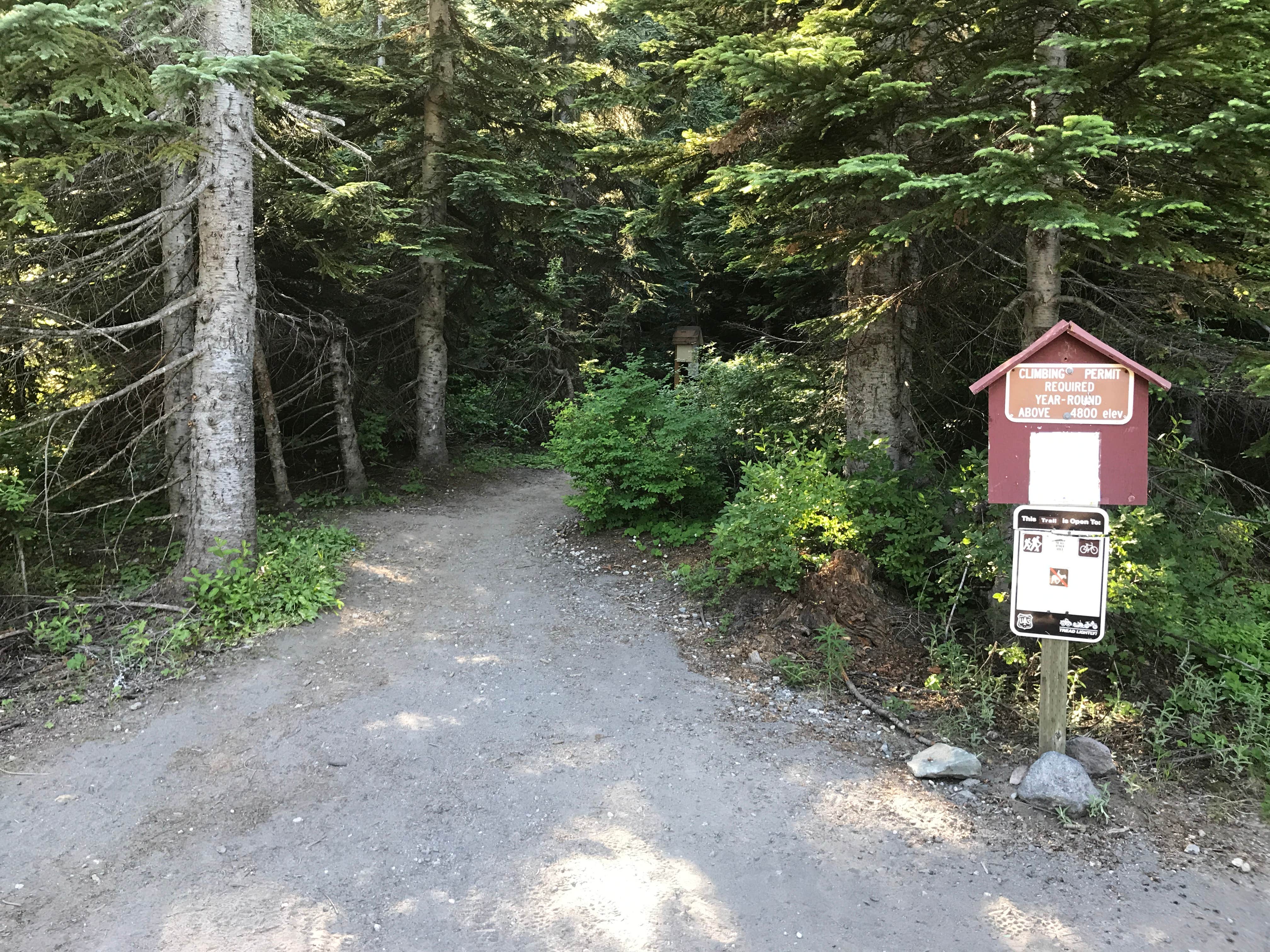 Camper submitted image from Climber's Bivouac Campground - 5
