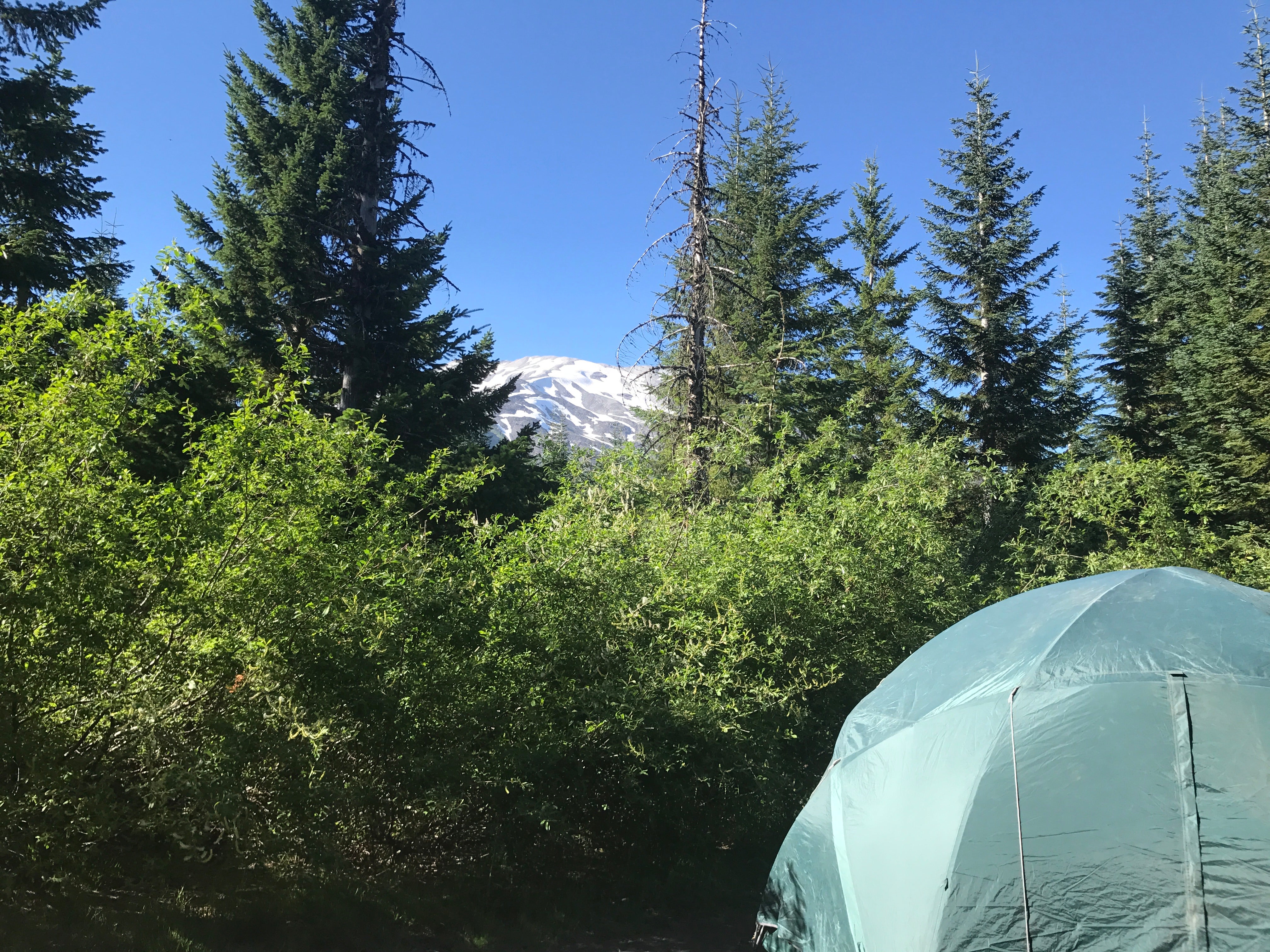 Camper submitted image from Climber's Bivouac Campground  - 1