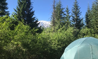 Camping near Lone Fir Resort: Climber's Bivouac Campground , Cougar, Washington