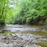 Review photo of Cuyahoga Valley National Park - CAMPING NO LONGER OFFERED by Dan G., June 22, 2016