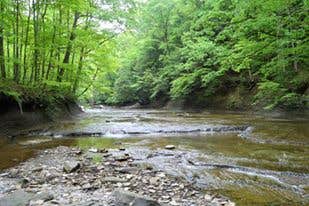 Camper submitted image from Cuyahoga Valley National Park - CAMPING NO LONGER OFFERED - 2