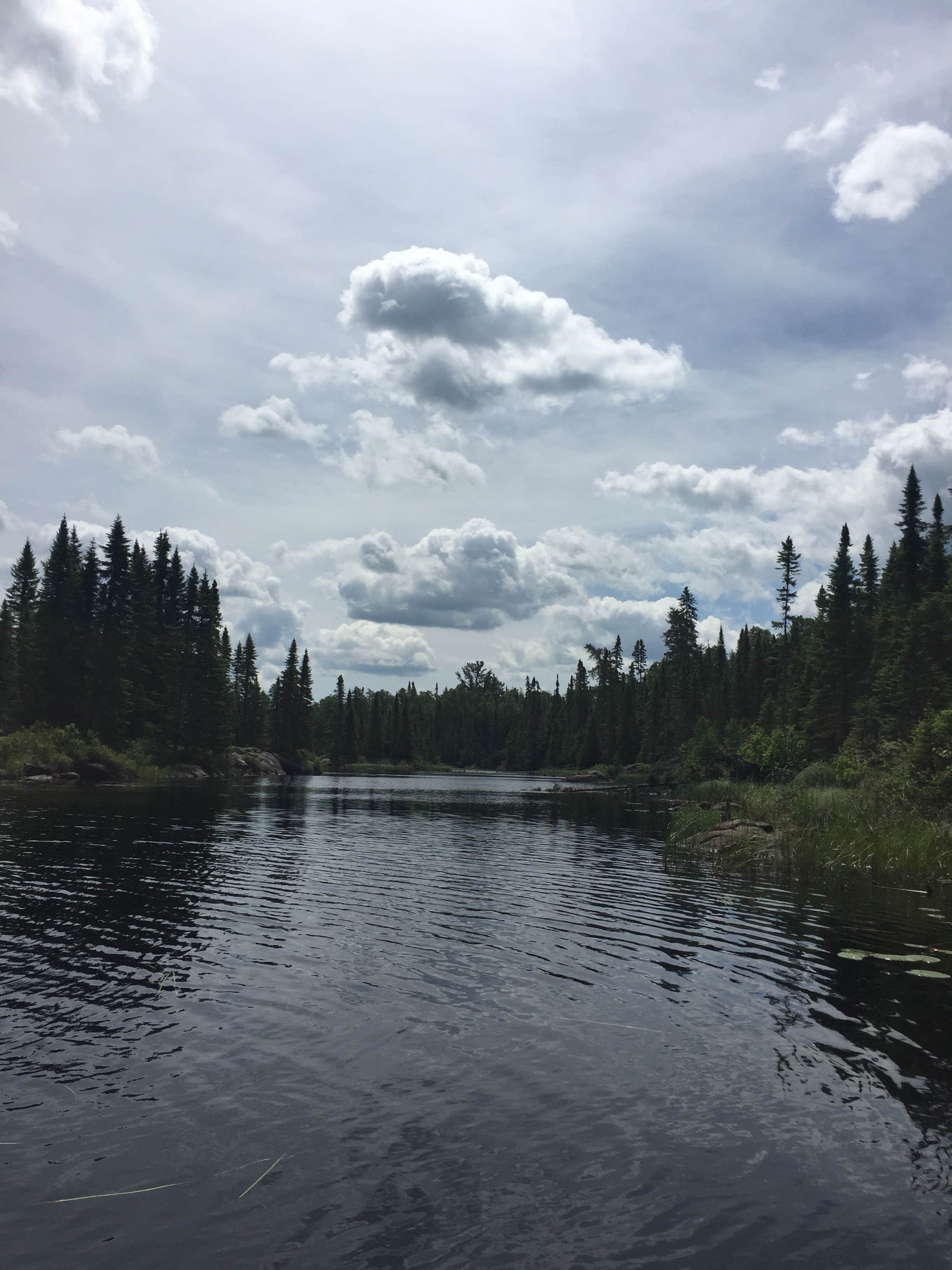 Camper submitted image from Sawbill Lake Campground - Superior National Forest - 3
