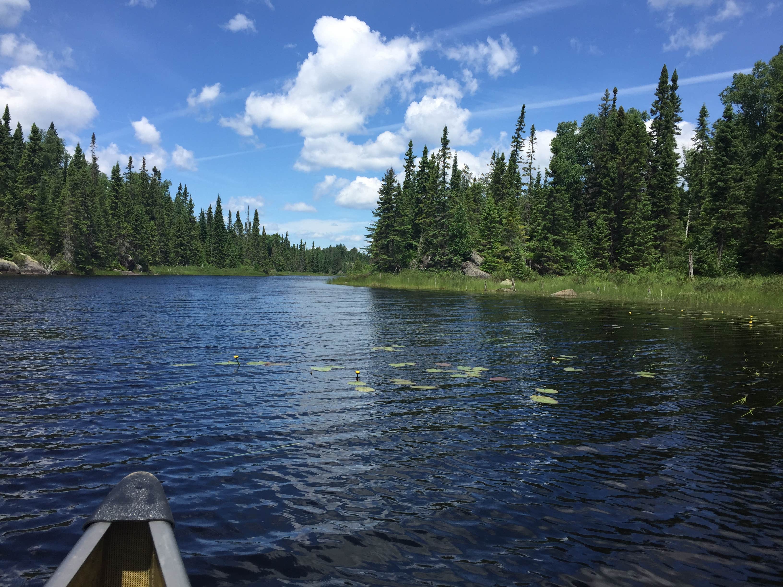 Camper submitted image from Sawbill Lake Campground - Superior National Forest - 2