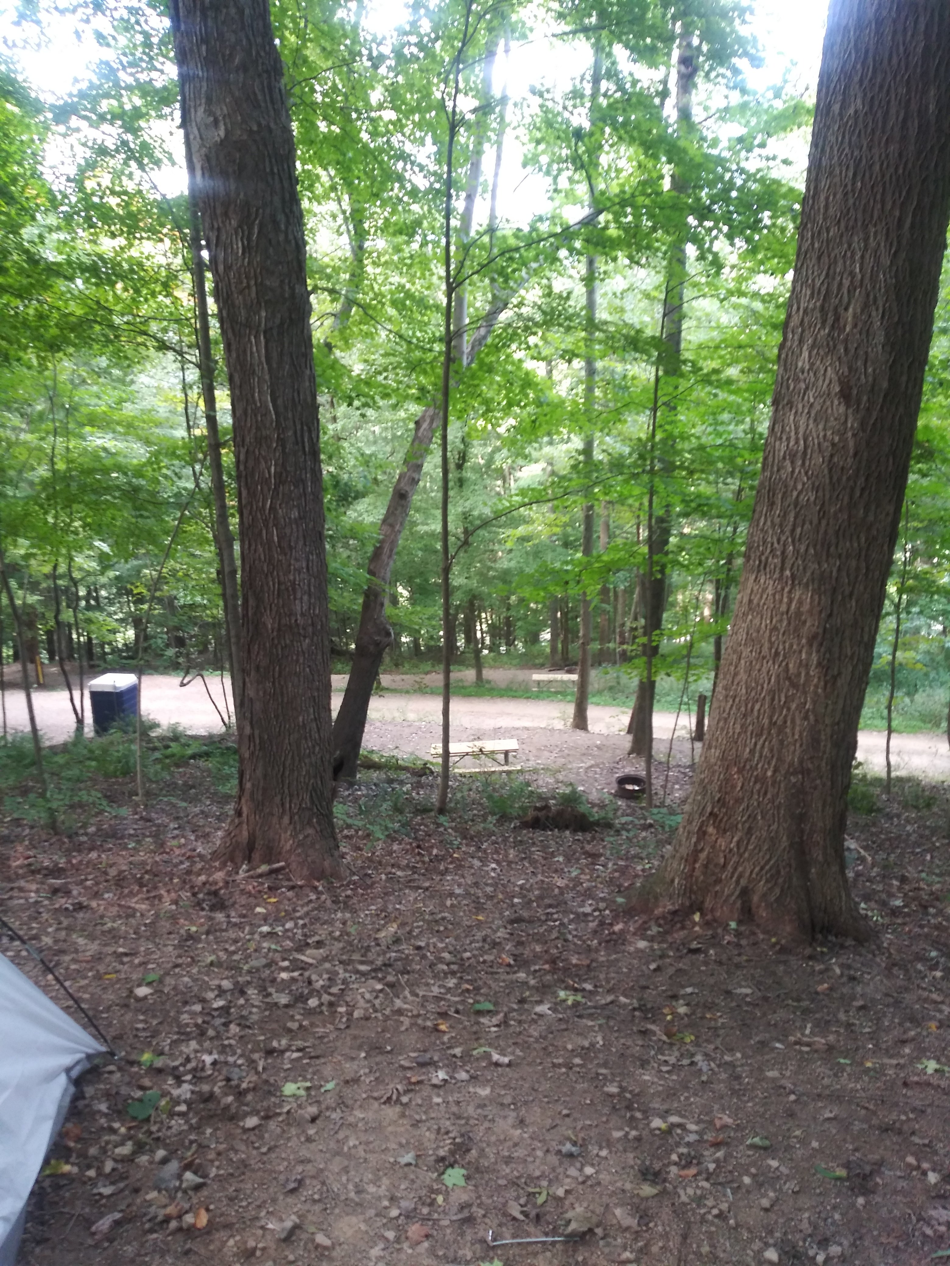 Camper submitted image from Mohican Adventures Campground and Cabins - 3