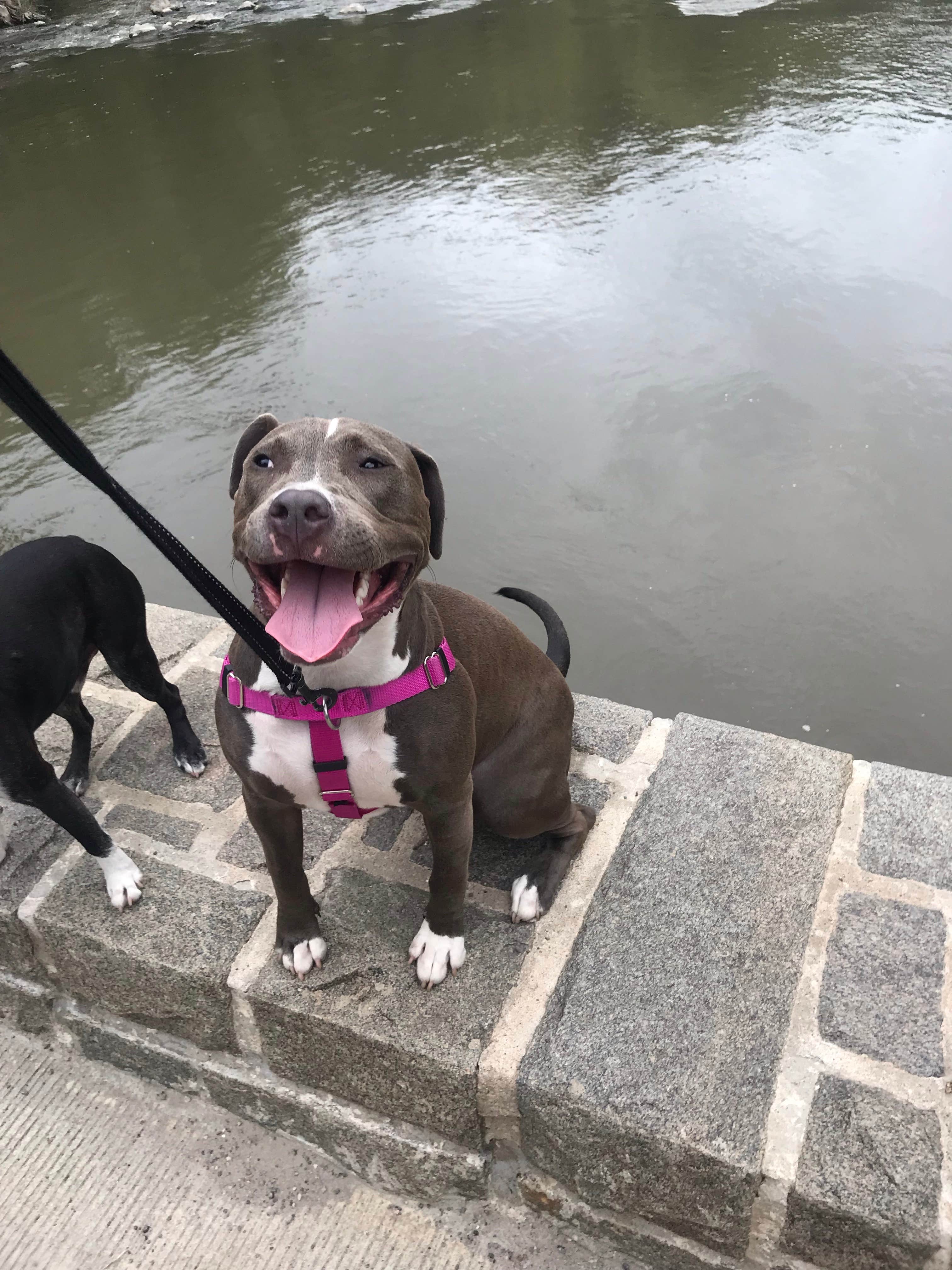 Camper-submitted photo at Alexander Ramsey Park near Morton, MN