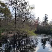 Review photo of Dogwood Campground — O'Leno State Park by Denise G., September 10, 2019