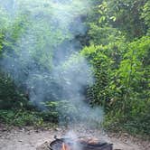 Review photo of Dogwood Campground — O'Leno State Park by Denise G., September 10, 2019