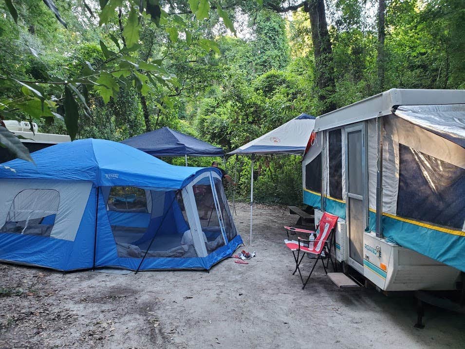 Denise G.'s photo at Dogwood Campground — O'Leno State Park near Alachua, FL