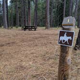 Review photo of Meadow Camp Campground — Plumas National Forest by Trip J., September 10, 2019