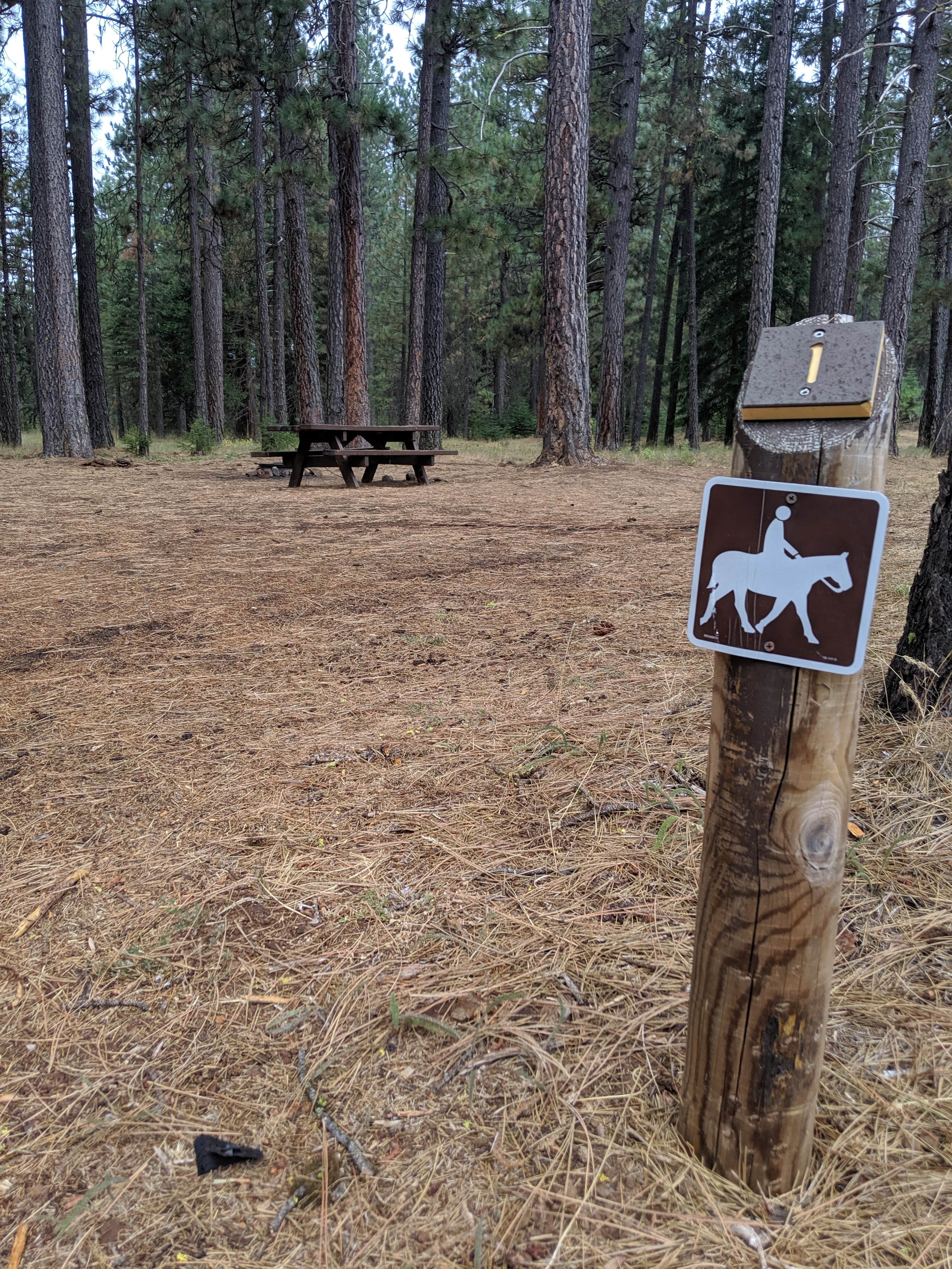 Camper submitted image from Meadow Camp Campground — Plumas National Forest - 2