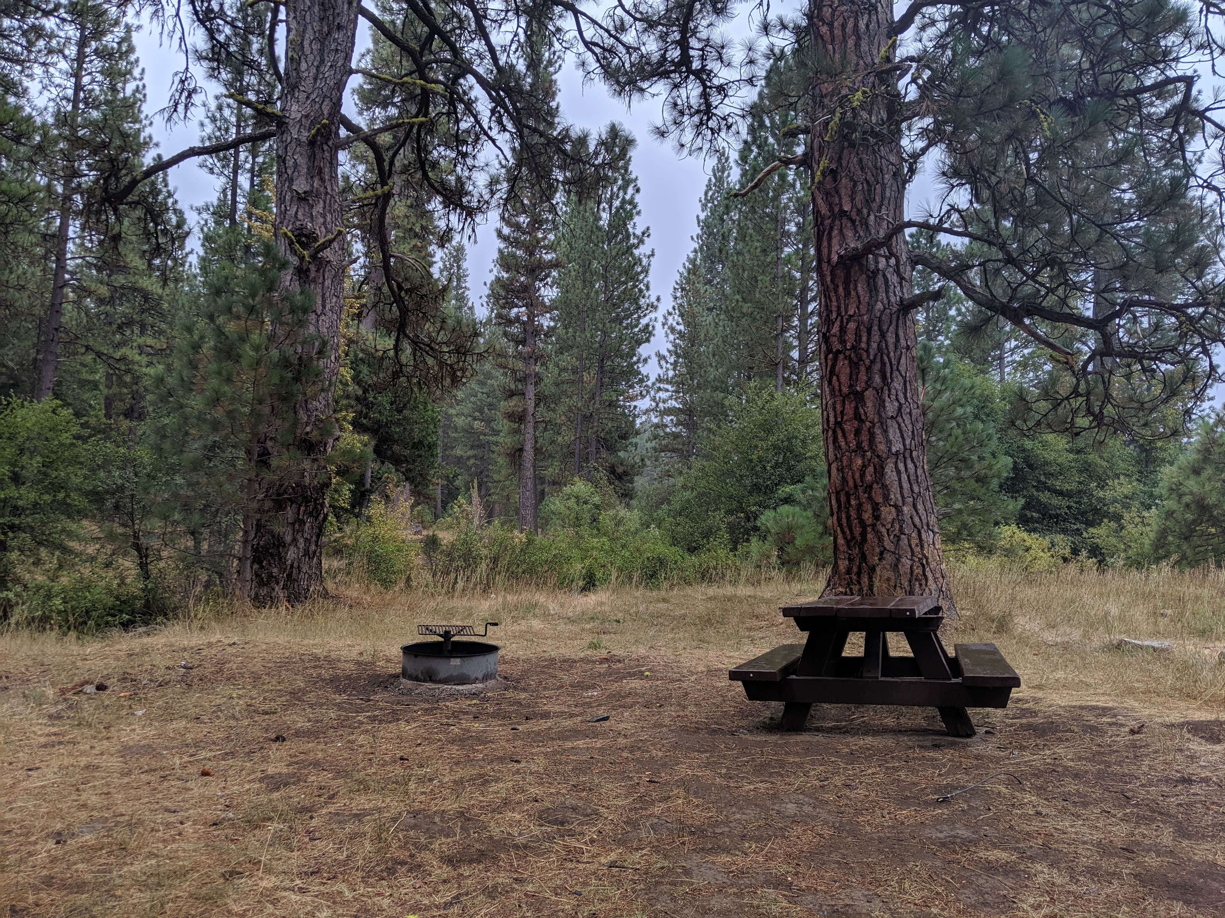 Camper-submitted photo at Meadow Camp Campground — Plumas National Forest near Twain, CA