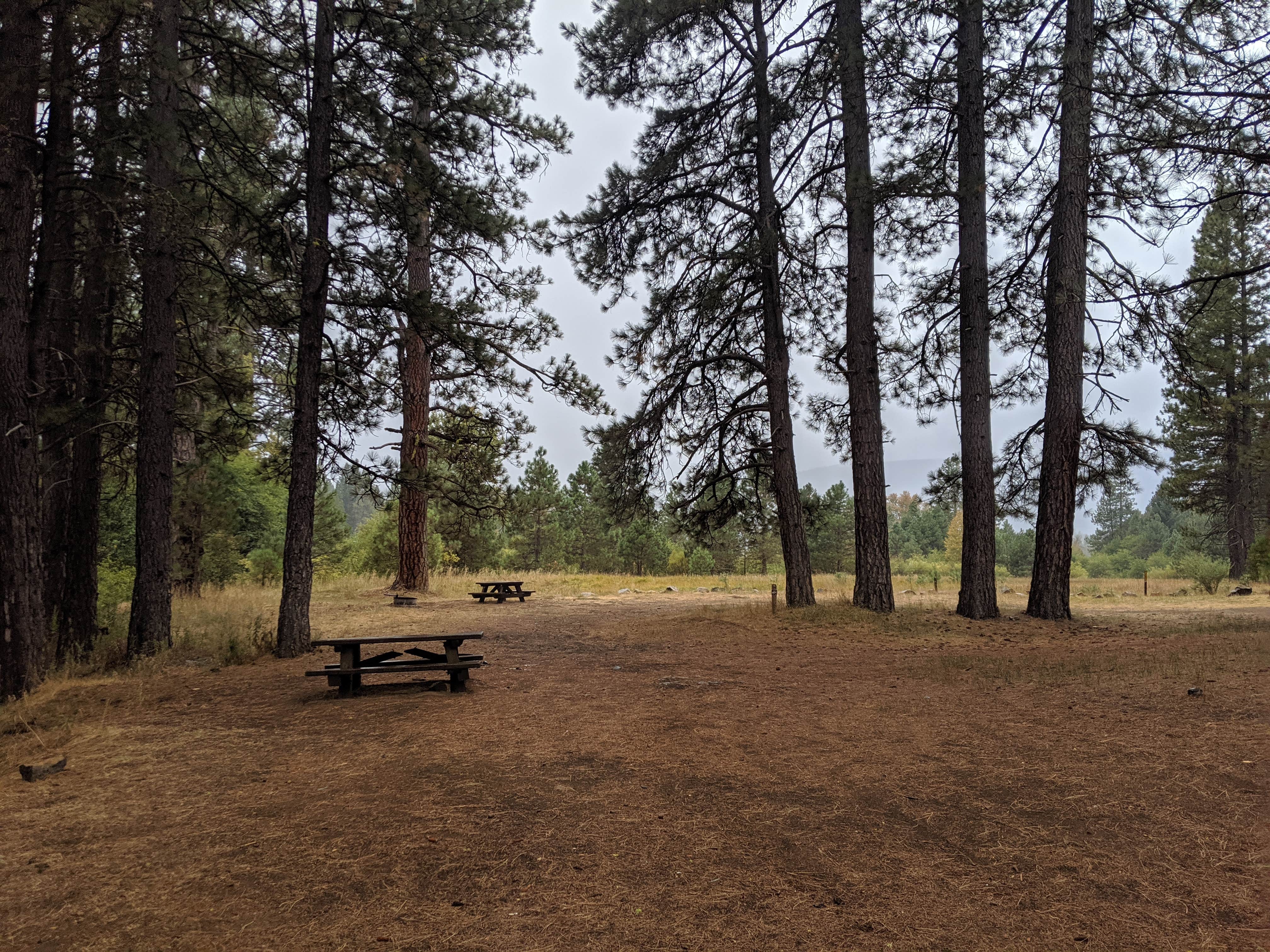 Camper-submitted photo at Meadow Camp Campground — Plumas National Forest near Twain, CA
