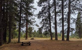 Camping near Stag Point: Meadow Camp Campground, Meadow Valley, California