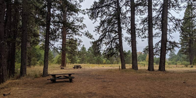 Camper submitted image from Meadow Camp Campground — Plumas National Forest