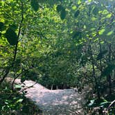 Review photo of Lake Michigan Recreation Area by Rachael S., September 10, 2019