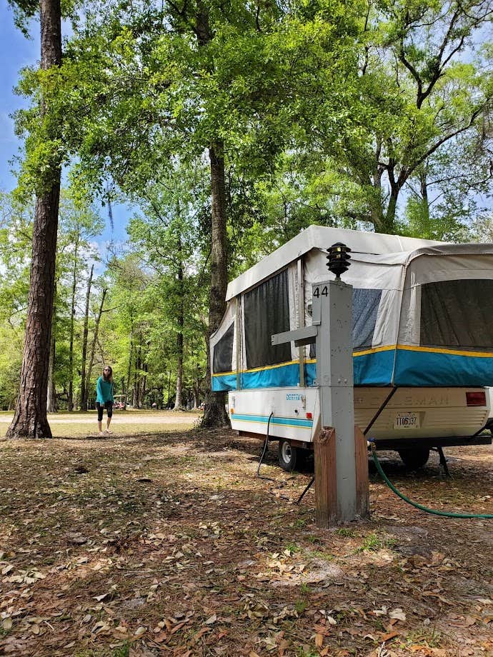 Denise G.'s photo at Otter Springs Park & Campground near Steinhatchee, FL