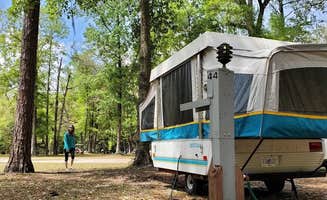Denise G.'s photo at Otter Springs Park & Campground near Trenton, FL