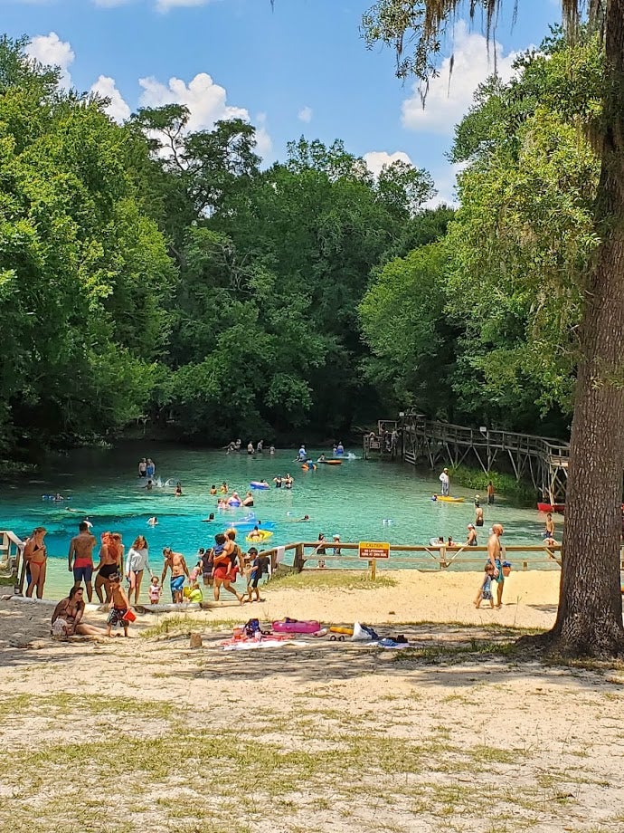 Camper submitted image from Gilchrist Blue Springs State Park - 4